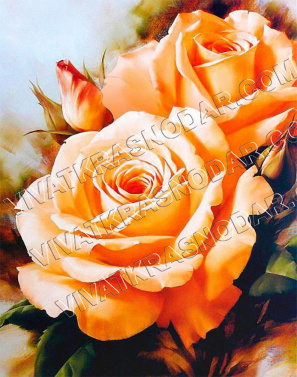 "Чайные розы" 40*50см АЖ-1132 Картина стразами "Алмазная живопись"