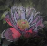 Цветок 30*30см Рисунок на ткани бисером арт.B-239